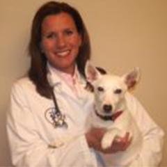 At Butler Veterinary Hospital, we understand that animals are more than just pets, they are members of our families.