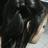 d_koepke's profile image