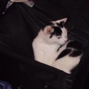 Tracy Croft - @ctracy1510 - Twitter