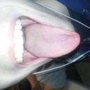 Ryan sauer - @rsauer97 - Twitter