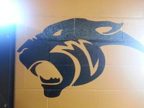 MCPantherPride's profile picture. Ultimate Monroe City Panther fans!!!