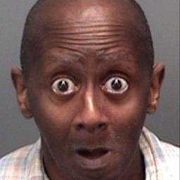 TeamFollowJokes's profile picture. We Got Jokes and We Follow Back!