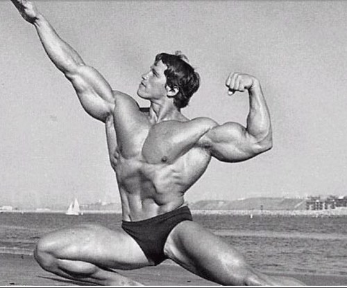 meatheadanon's profile picture. A support group for all those across the nation suffering from the growing addiction known as 'Swolling'
Email suggestions to: meatheadanonymous@gmail.com