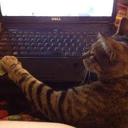 Kevin Bell - @kevinbe1 - Twitter