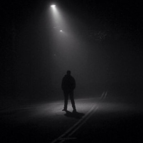 SeenSound's profile picture. Visual Benefactor ... Videographer//Photographer//Plant Based Observer