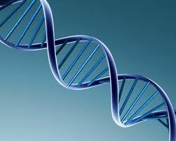 Biologia Molecular