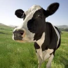 Will follow EVERYONE back!!! #teamfollowback