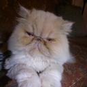 Patty Miner - @daisy541 - Twitter