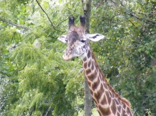 dumbblond57's profile picture. 