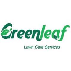 Commercial and Residential Lawn Care Services - Junk Removal - Pressure Washing.
                          REAL.  GOOD.  SERVICE.  919.273.5075