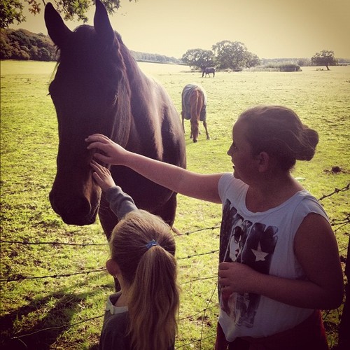 chloeyates11's profile picture. 