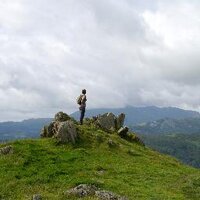 Betty Scholes (@betsyscholes) 's Twitter Profile