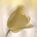 Helen Lofton - @HelenLofton1 - Twitter