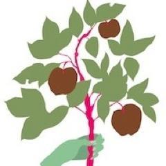 Find us on Bluesky: @ttwalthamstow.bsky.social
Find us on Instagram: @transitionwalthamstow