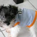 Joshua steven power - @Joshuastevenpow - Twitter