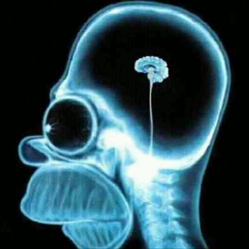 Djince's profile picture. 