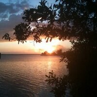 Perla Gómez Gallardo (@tpdi) 's Twitter Profile