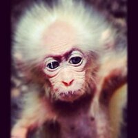 Matt (@mattma87) 's Twitter Profile