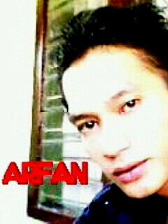 pengen jadi artis