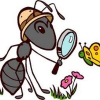 Anarşist Karinca ZKC (@anarsistkarinca) Twitter profile photo