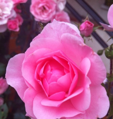 marcbell69's profile picture. 