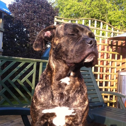 colinhalliday09's profile picture. 