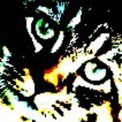 zinesure's profile picture. Blogger and author of Kittycam
http://t.co/K3j1nnsjyy
. Also into recycling and upcycling.