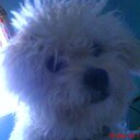 adriana bell - @adriana30765704 - Twitter