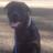 Idontusetwitt's profile image
