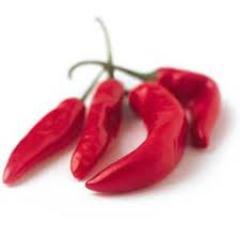 TeekhiTippani's profile picture. 