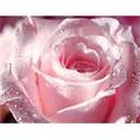 yaneth ortega - @yanethortega9 - Twitter