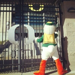 Just a Duck who’s lost in NYC. Upper West Side to Darien. NYU Stern. Eugene native.