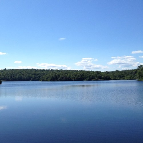 HopkinsMusicGrp's profile picture. Music Supervision | Music Clearance & Licensing | Talent Management - http://t.co/syRwWgcMnO