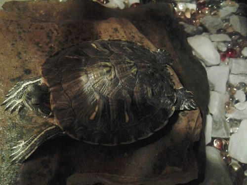 Anthony0676's profile picture. 