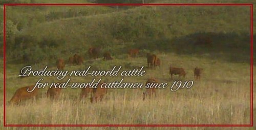 Seedstock producers raising Red Angus, Black Angus, and Polled Hereford Cattle. Genetics available at all times.