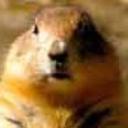 Paul Shreve - @prairiedog57 - Twitter