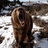 dudumur's profile image