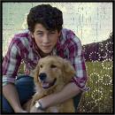 I LUV THE JONAS BROTHERS!!!