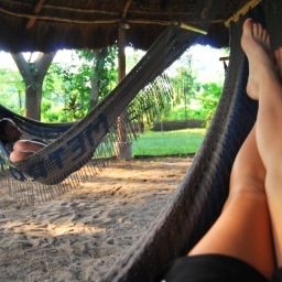 rayshell711's profile picture. 