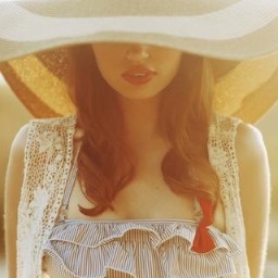 SCsouthern_b's profile picture. 