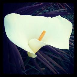 floralparty05's profile picture. Team manager of 5 kids, partner of the gorgeous one