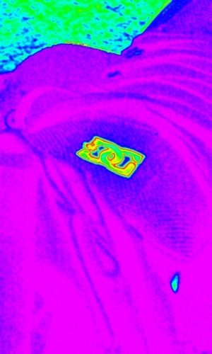 dillongiesler9's profile picture. i am cool so cool