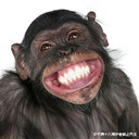 Edison Tam - @Tam_Weaky - Twitter