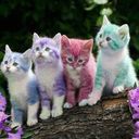 Jaewon Choi - @tonics3c - Twitter