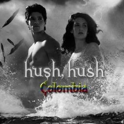 HushHushColombi's profile picture. Twitter Oficial del Club de Fans del Libro de Becca Fitzpatrick Hush Hush en Colombia