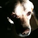 Keri Hooper - @Khooper416 - Twitter