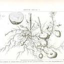 Ian Pack - @IanPackb - Twitter