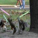 Brian Goolsby - @ivavea69 - Twitter