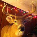 Scott Senesac - @crackfillerup - Twitter