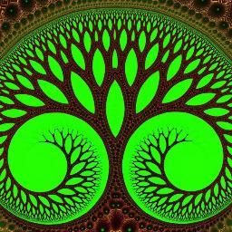 GreenHornetVQS's profile picture. Economical remodeled 2 bedroom 1 bath Apartment Guesthouse on Vieques Island, Puerto Rico